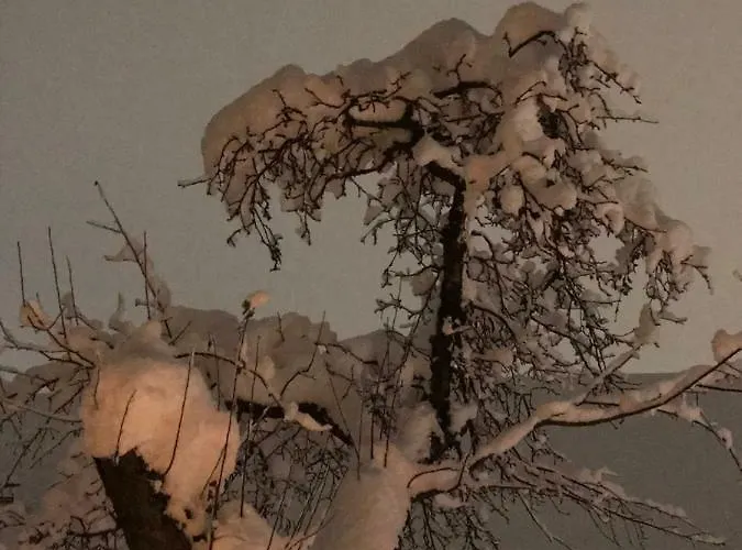 雷娜特公寓 * 菲根