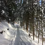 Renate 아파트