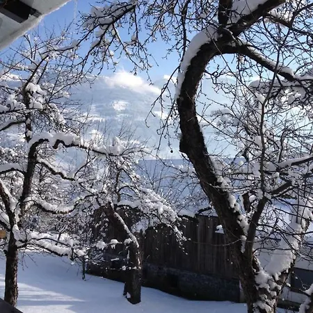 Apartament Renate Fügen